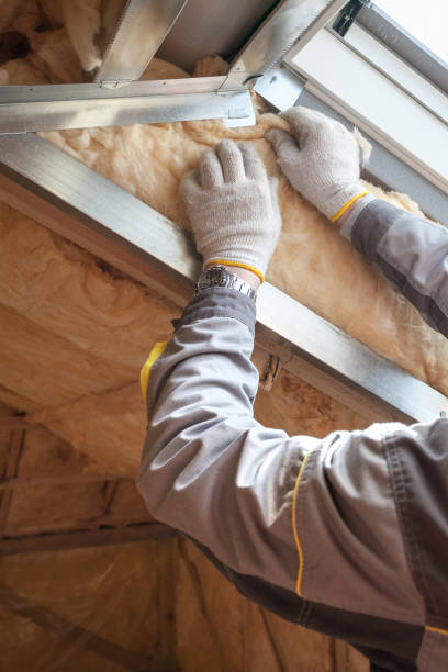 Best Eco-Friendly Insulation in Monroe, WI