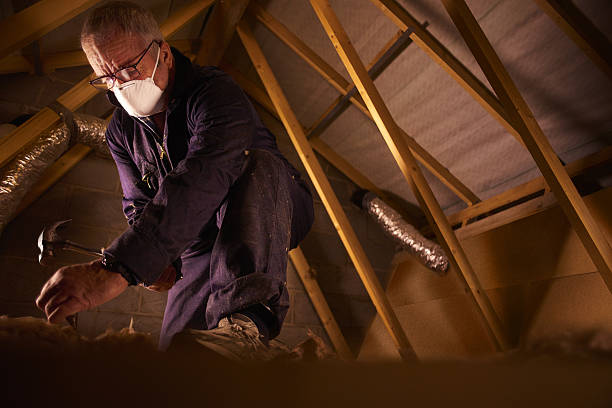 Best Cellulose Insulation in Monroe, WI